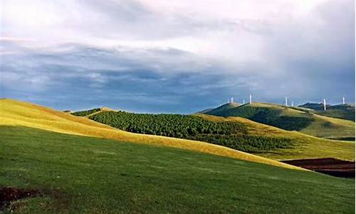 坝上草原景点_坝上草原景点分布图