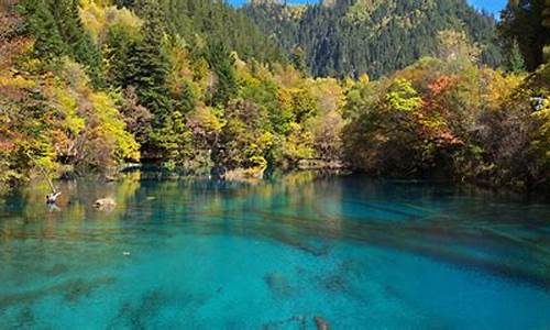 九寨沟门票60岁门票多少钱_九寨沟门票60岁门票多少钱啊