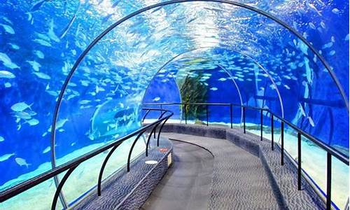 上海海洋水族馆值得去吗_上海海洋水族馆值得去吗,大人