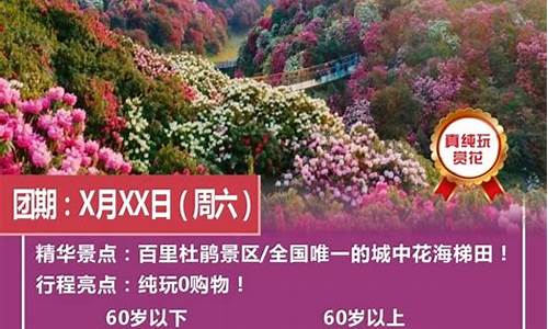 广东旅游团报名二日游_广东旅游团报名二日游怎么报